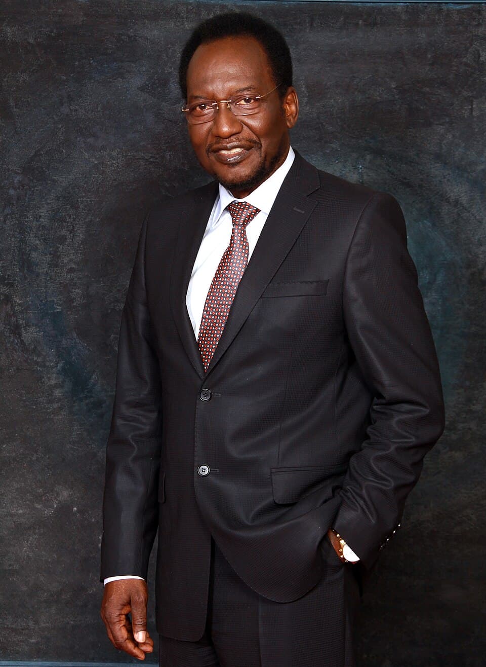 Portrait of Dioncounda Traoré