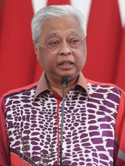Portrait of Ismail Sabri Yaakob