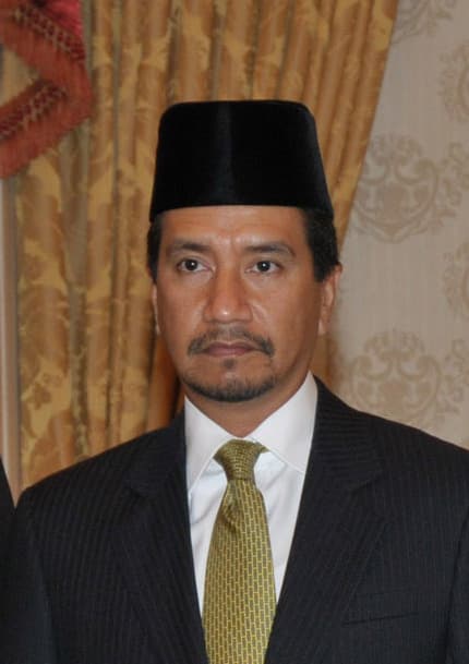 Portrait of Mizan Zainal Abidin of Terengganu