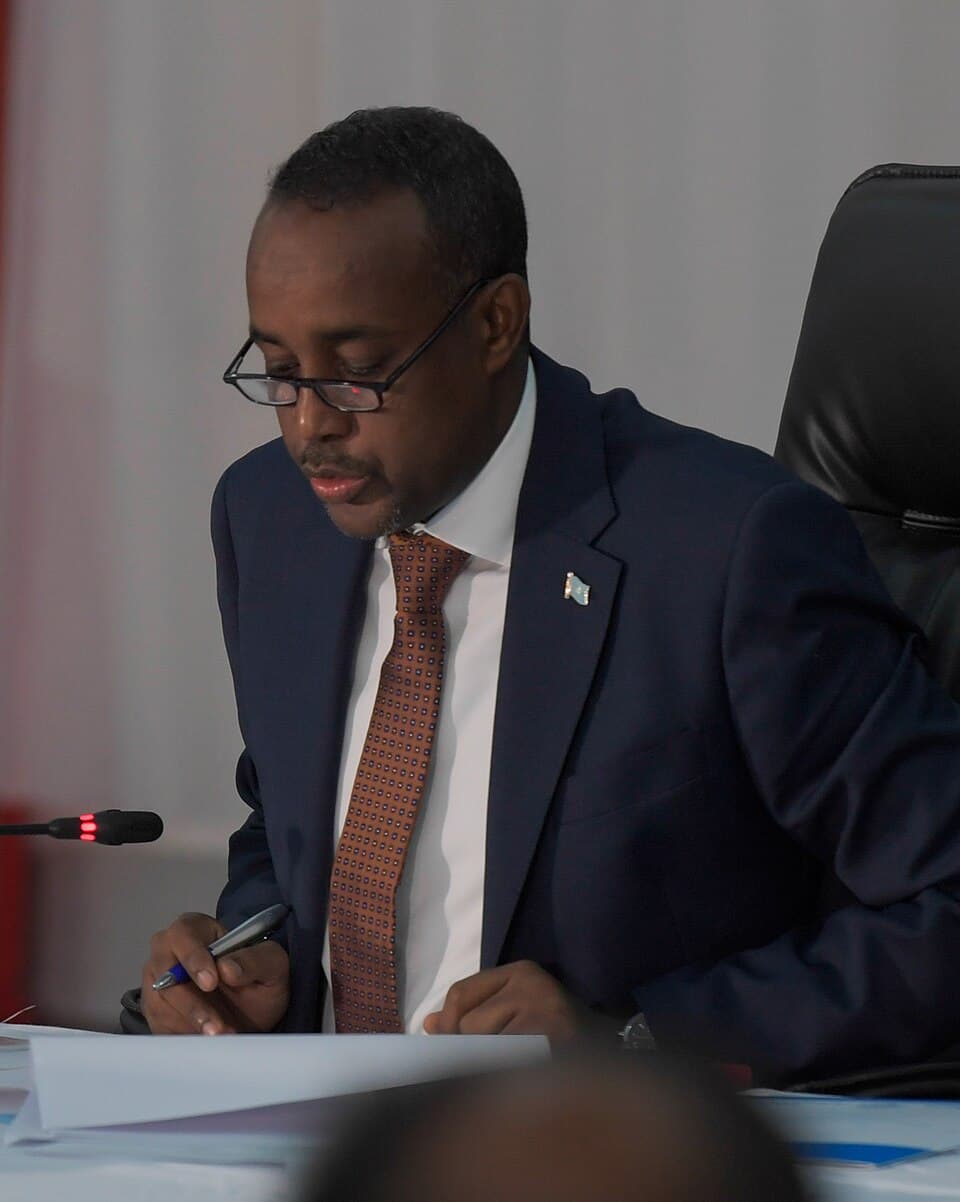 Portrait of Mohamed Hussein Roble