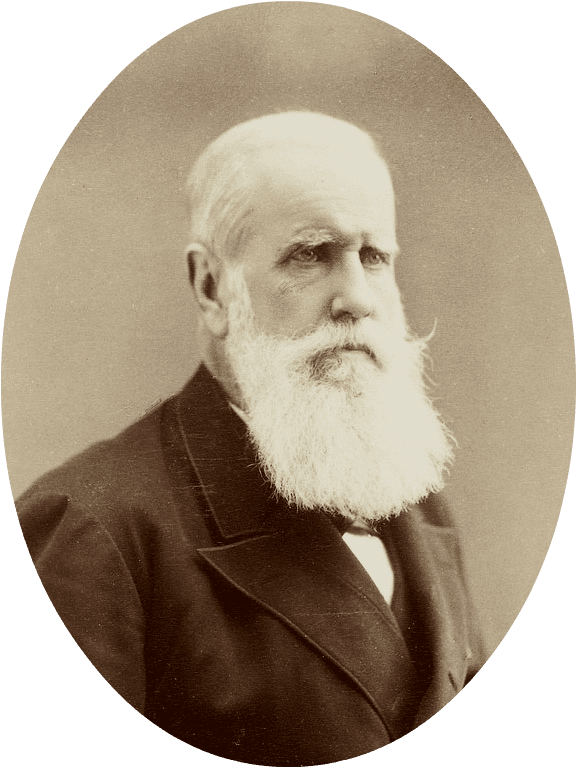 Portrait of Pedro II of Brazil
