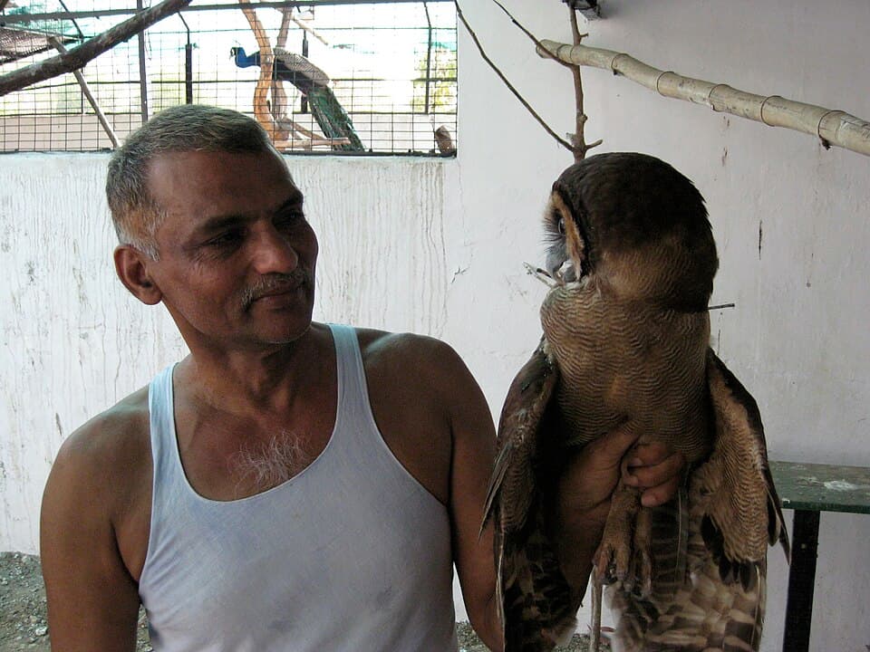 Prakash Amte