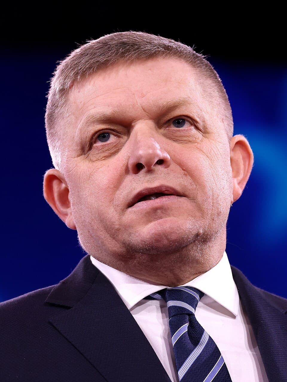 Portrait of Robert Fico