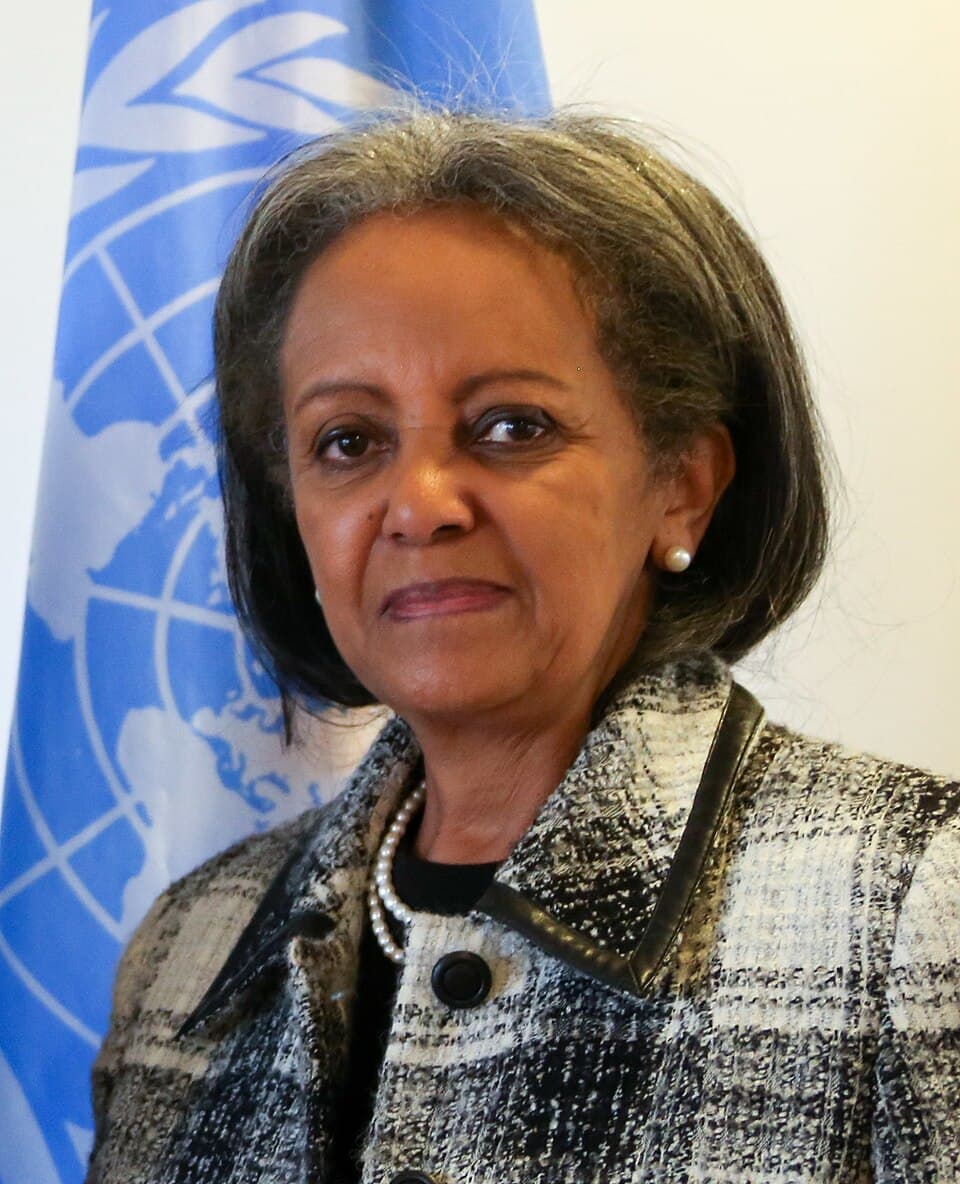 Portrait of Sahle-Work Zewde