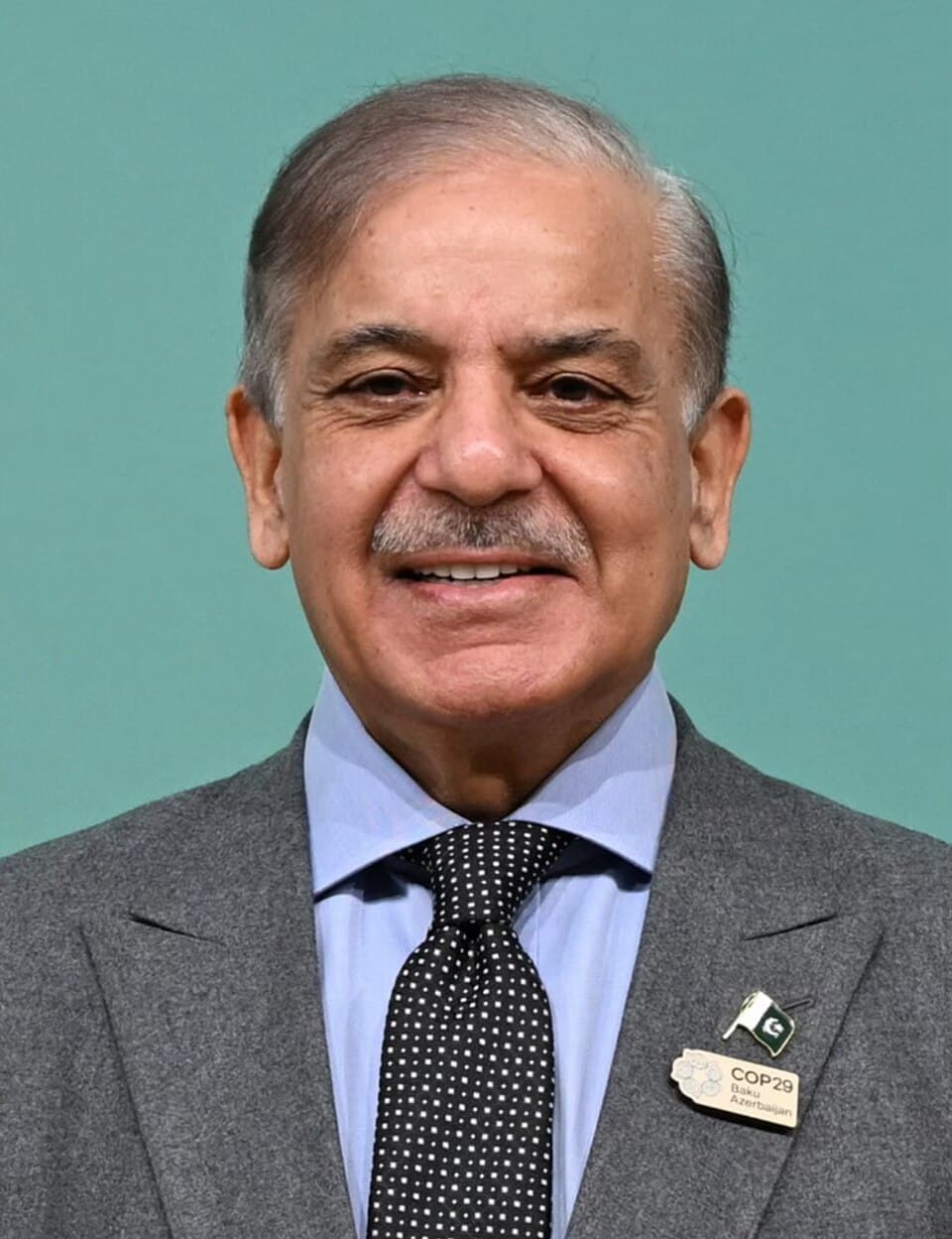 Portrait of Shehbaz Sharif