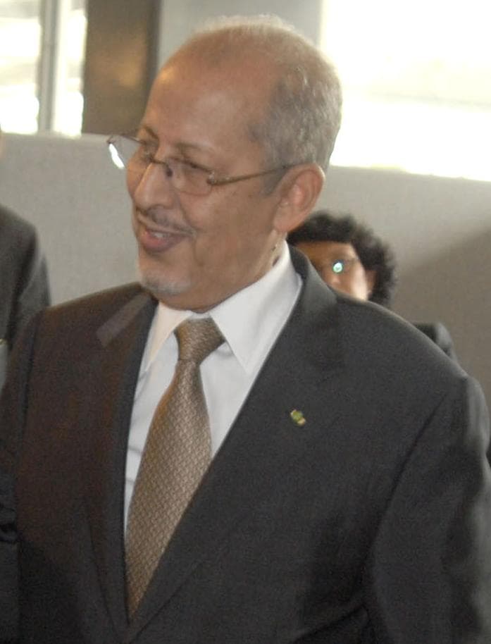 Portrait of Sidi Ould Cheikh Abdallahi