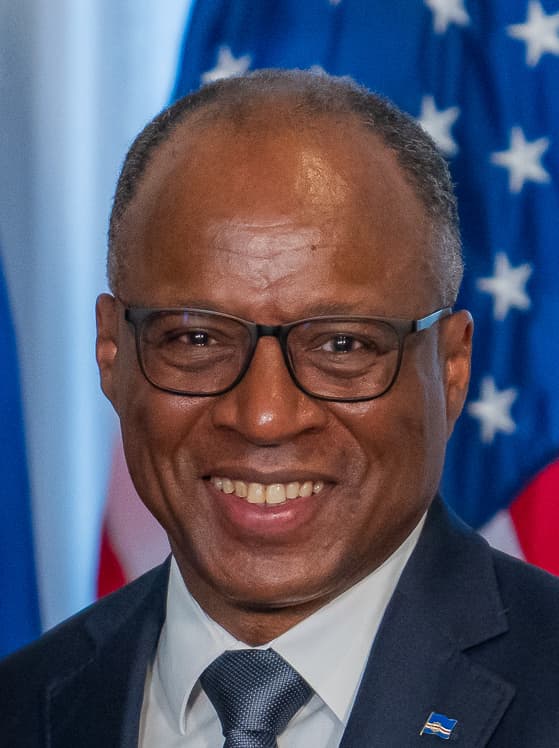 Portrait of Ulisses Correia e Silva